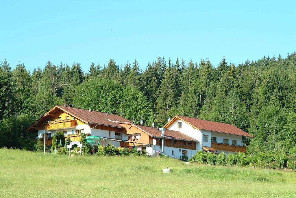 Gasthaus Pension Sternknockel Bodenmais Kültér fotó